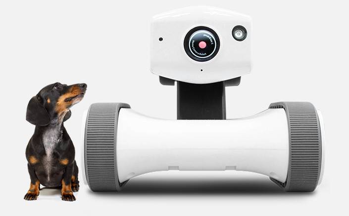 寵物健身機器人市場的開拓者—Varram 為應對基于物聯網的智能型家居監控機器人需求的增加而擴大投資