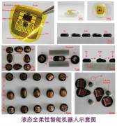 全球首個液態(tài)全柔性智能機器人誕