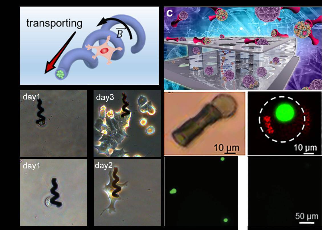 Їƴh̿ɿصĴſ΢{Cڰˎί