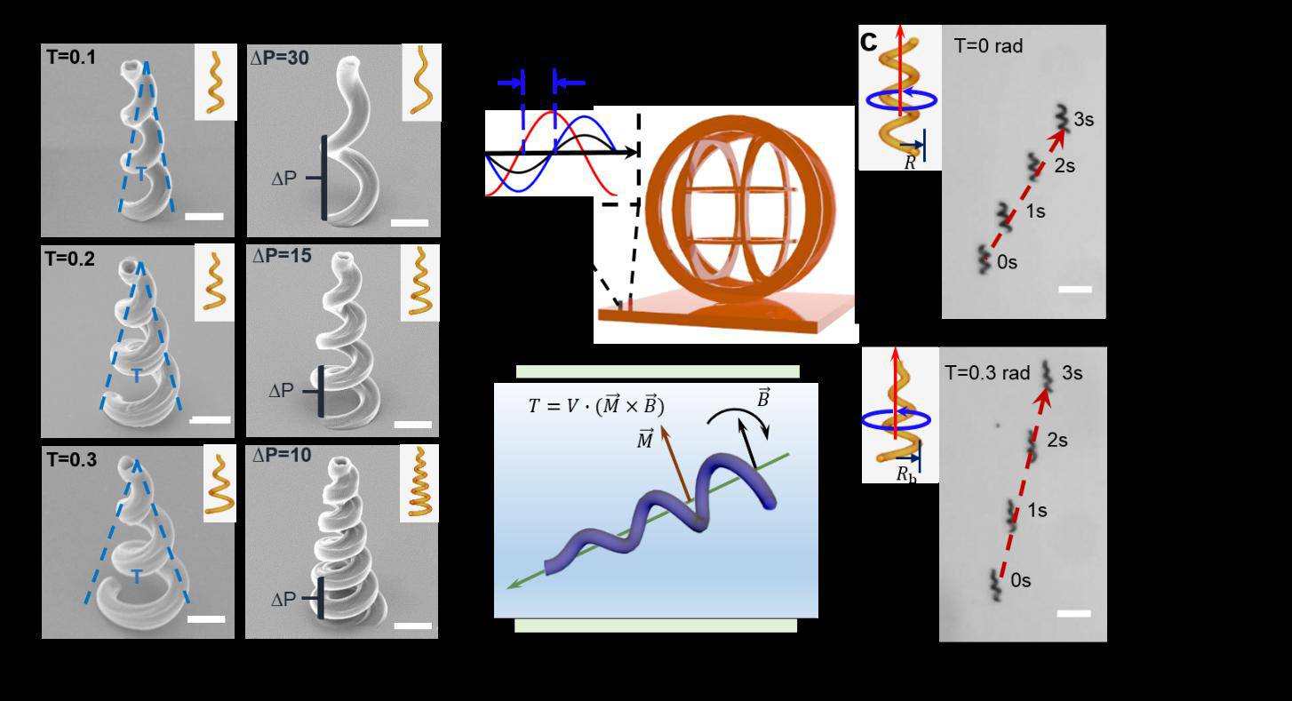 Їƴh̿ɿصĴſ΢{Cڰˎί