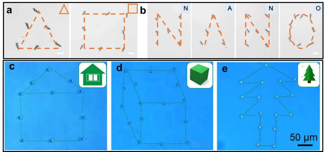 Їƴh̿ɿصĴſ΢{Cڰˎί