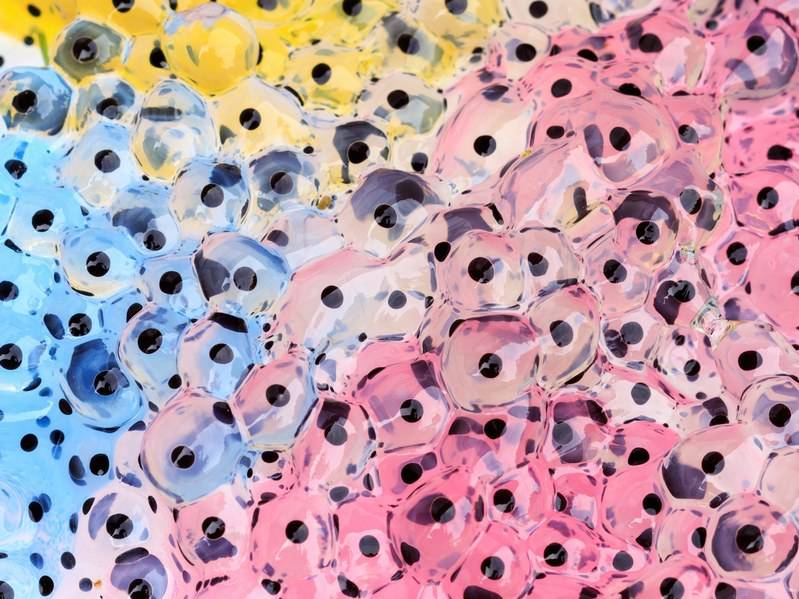 細胞為機器人供能?意大利科學家實現突破