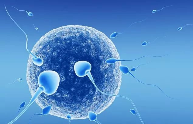 ɹܾӆl(f)΢͙C(j)˿w΄(dng)\(yn)ˎ