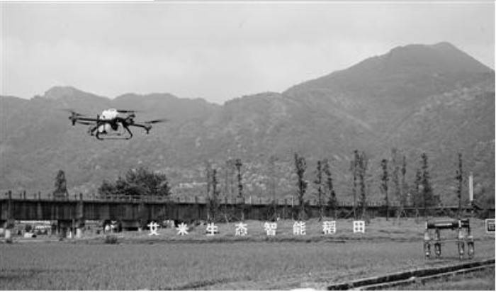 㽭ׂ5GǻrIϾ CѲo˙C