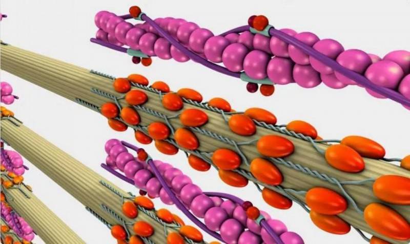 T800܊C˲R_\ӣ