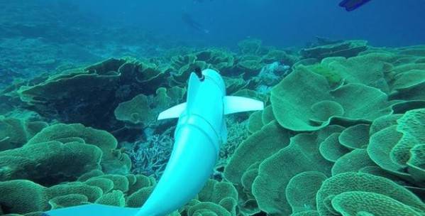 細思極恐!未來你看到的這些動物,可能都是機器人!