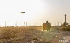 無(wú)人機(jī)助新疆棉花脫葉,作業(yè)面積