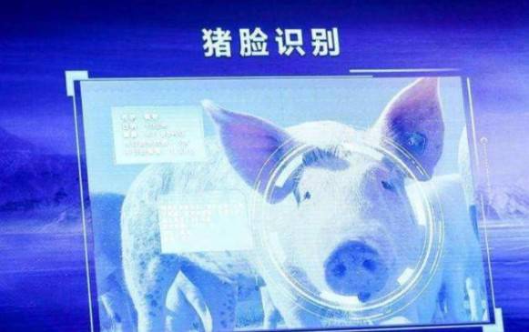 京東入局機器人養豬,農業市場細分是否潛力巨大?