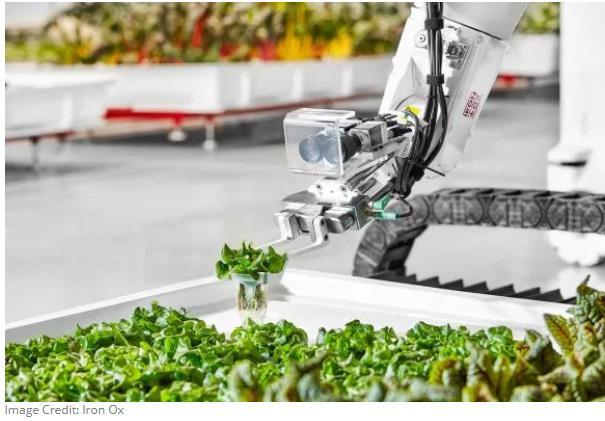 ׂȫԄӻ҃rͶa ayNֲ30౶